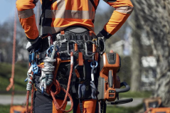 Klín Arborist 4"
